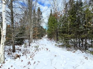 0 County Road 624, Hillman, MI 49746