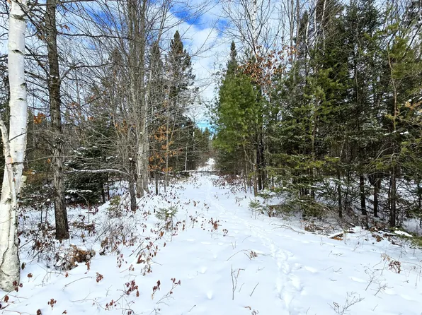 0 County Road 624, Hillman, MI 49746