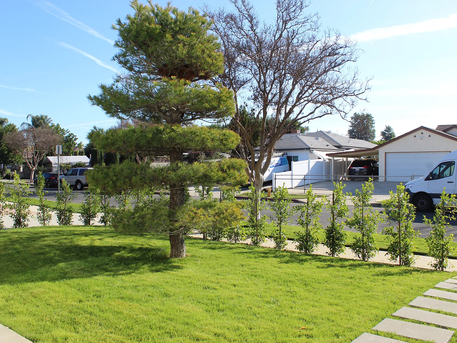 1 bed, 434 sqft, $1,900 — Photo 4