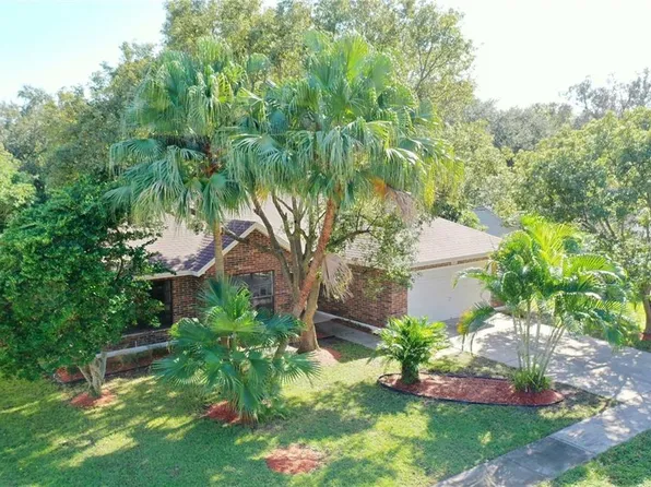 7432 Mint Julep Dr, Riverview, FL 33578