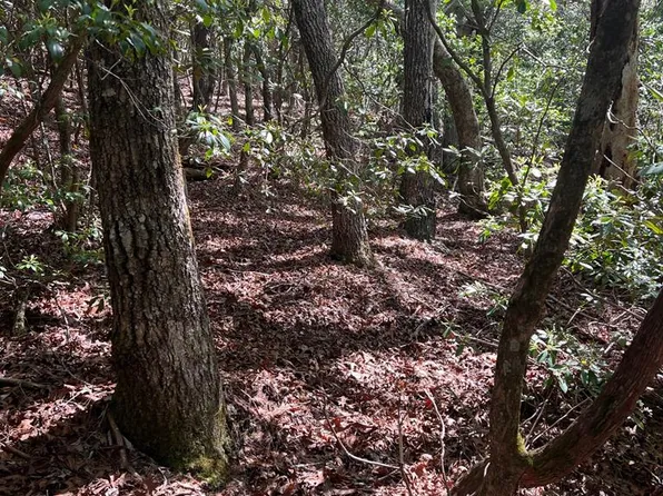 LOT 1 Highlands Pass, Franklin, NC 28734