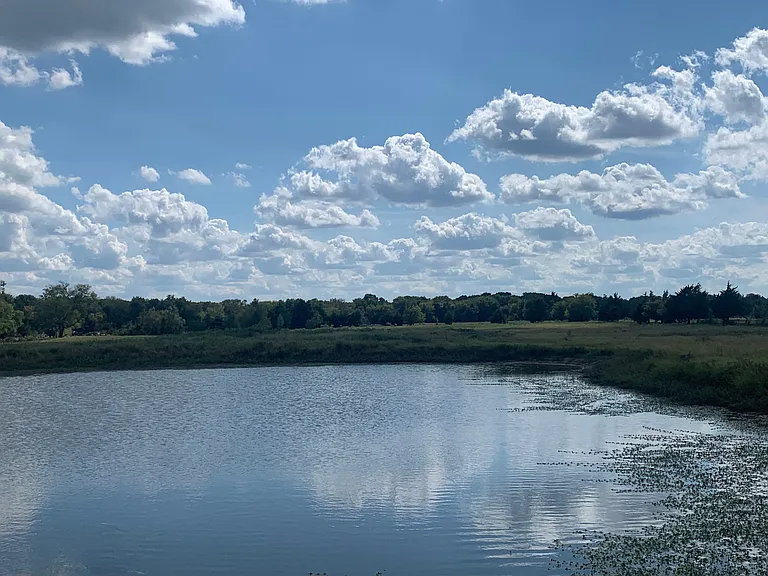 2339 W FM 898 — Photo 16