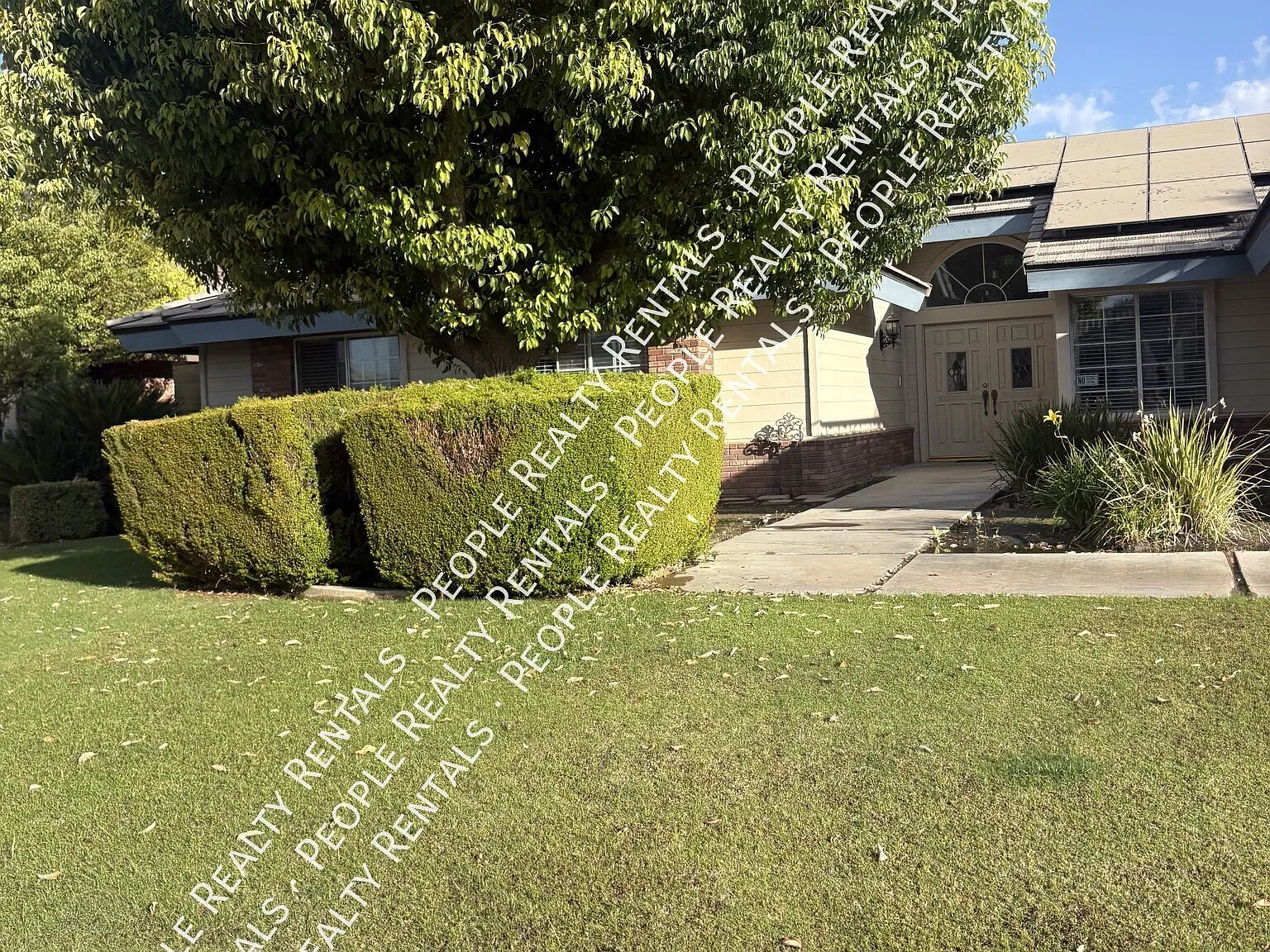1 bed, $1,000 — Photo 1