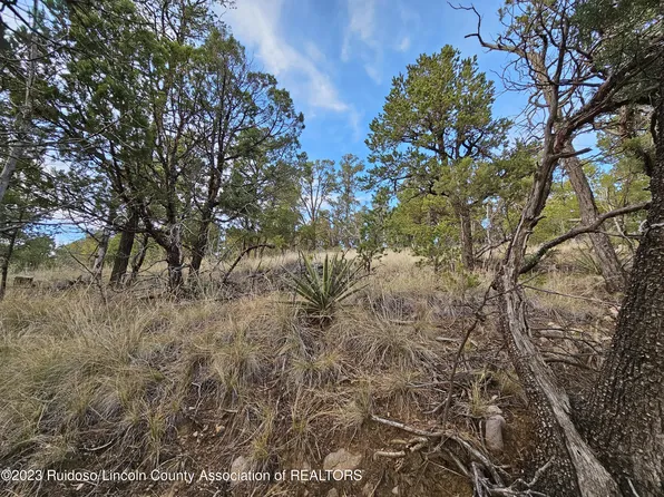 L12 Encino Rd, Alto, NM 88312