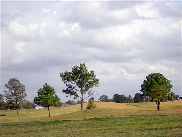 1st image of 14418 Cypress Links Trl