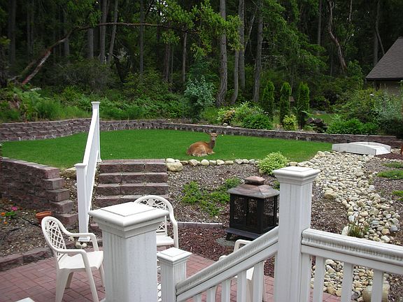 Lot in Background