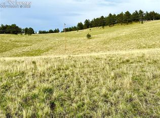 94 Curb Bit Ln, Lake George, CO 80827