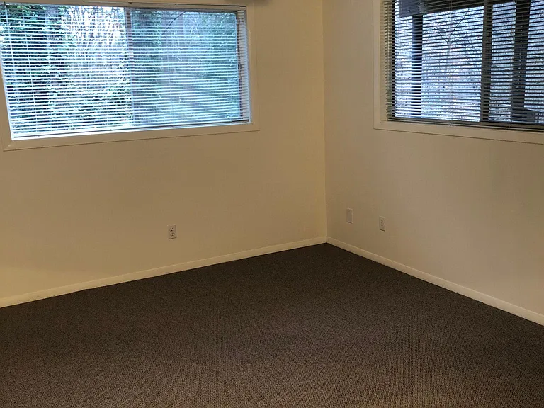 Lrg bedroom, lighted closet, wooded view