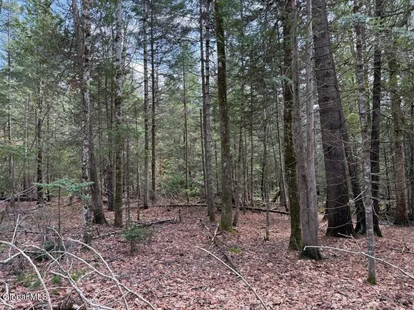 L34.2 Youngs Road #2, Schroon Lake, NY 12870