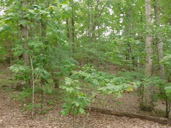 5th image of 24 Lenox Dr NE