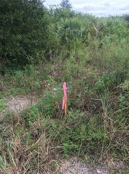 2nd image of 6955 Treadway Rd