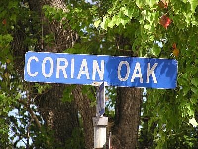 5th image of 4863 Corian Oak Dr