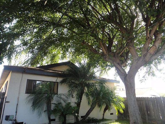 Cool breeze in the back yard