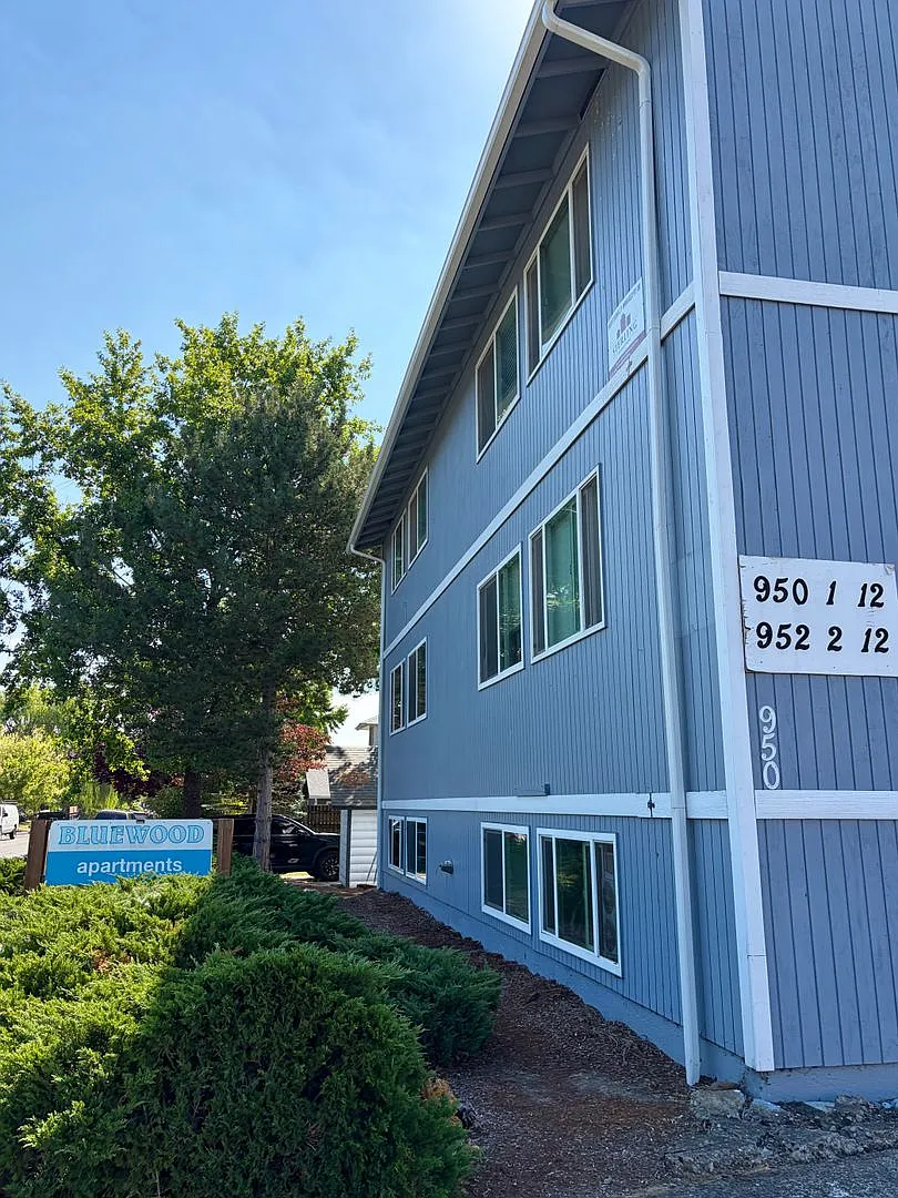 (907) Bluewood Apartments - 1 Bedroom / 1 Bath — Photo 2
