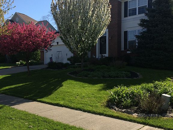 3rd image of 14 Bridgestone Dr