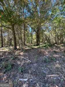 0 Fairview Farm Cir, Lavonia, GA, 30553