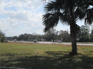 4411 N Orange Blossom Trl, Mount Dora, FL 32757