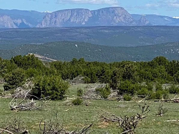 540 24 #C, Las Vegas, NM 87701