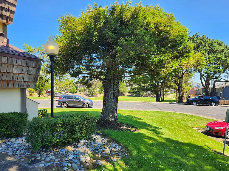 2700 Kilconway Ln — Photo 27