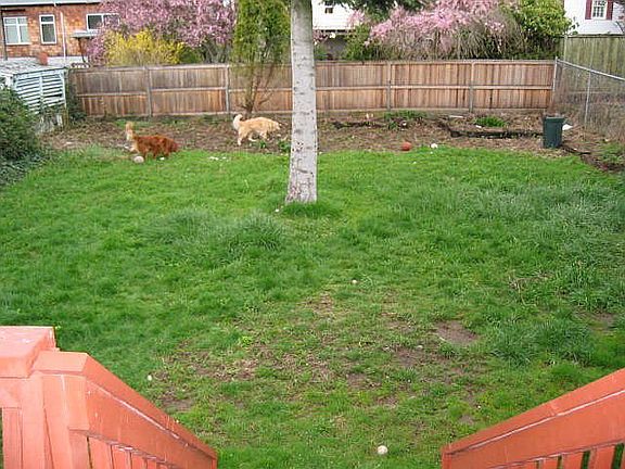 Large Fenced Back Yard
