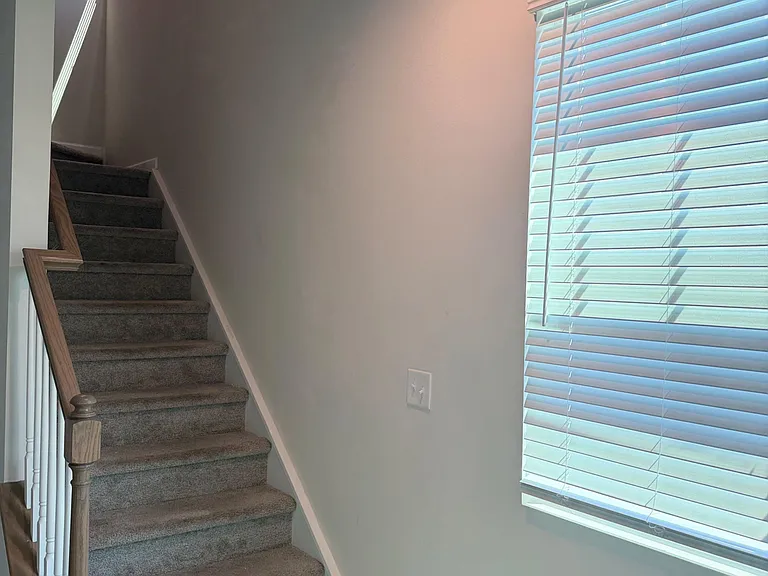 Carpeted stairway with wood handrail and a large window with blinds, offering easy access to the upper level.
