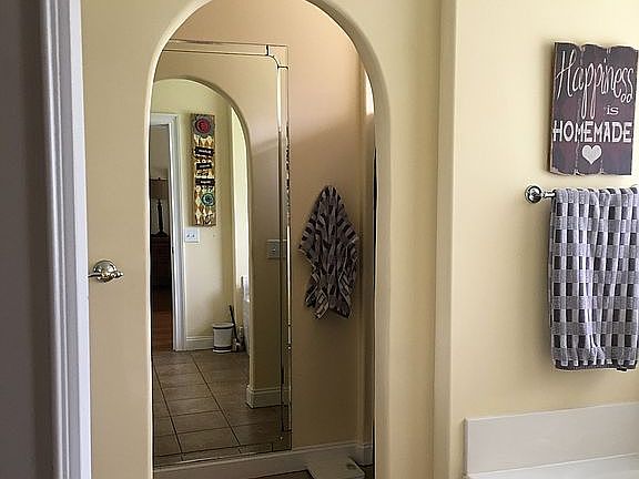 Pretty arch divides shower t