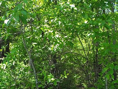 2nd image of S Lick Creek Rd
