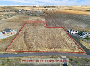 3446 Antelope Ridge Trl, Parker, CO 80138