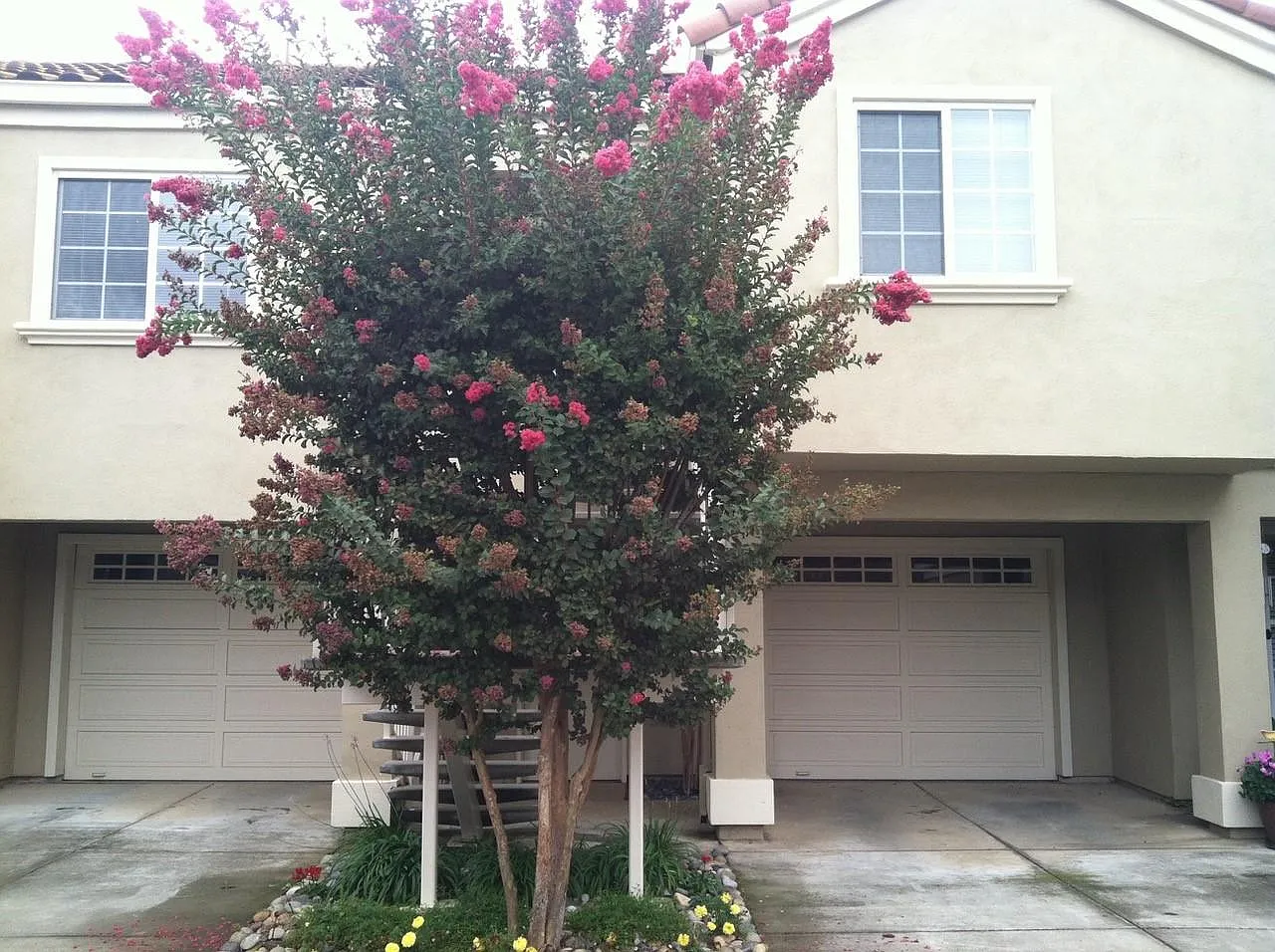 926 Prancer Ct photo 1