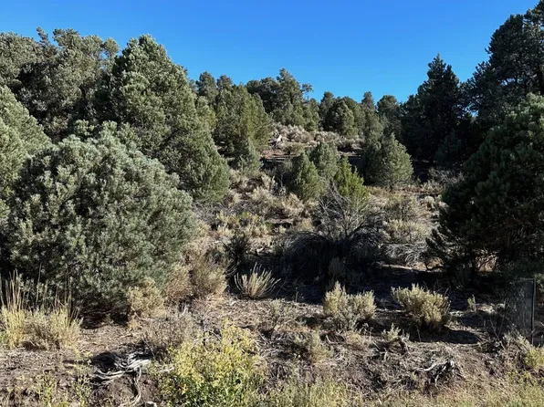 2531 Cartwright Rd, Reno, NV 89521