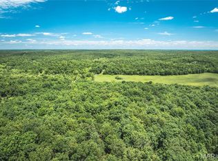 64 New Home Rd, Salem, MO 65560