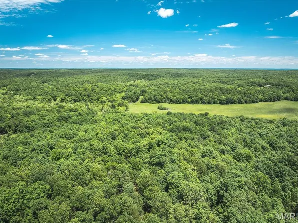 64 New Home Rd, Salem, MO 65560