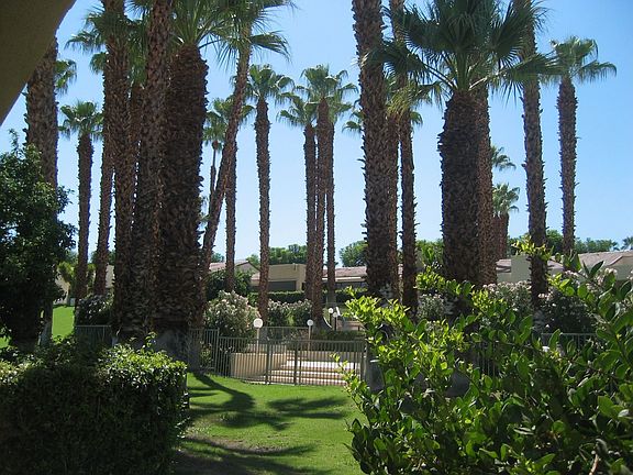 view from back patio