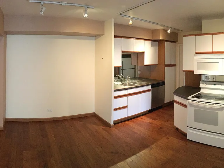 Dining and kitchen area. Entry door seen at left in photo. Track lighting throughout.