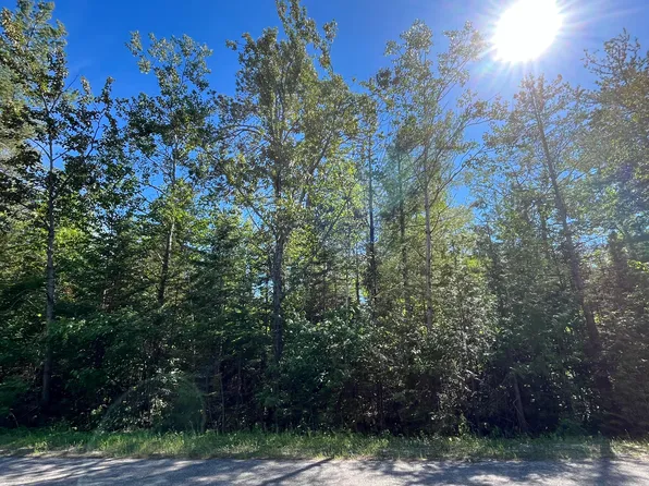 L-177 179 Northland Heights Dr, Presque Isle, MI 49777