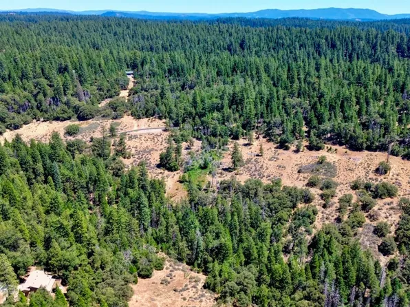 19421 Ponderosa Dr, Pioneer, CA 95666