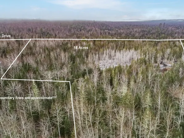 Lot 41-4 Forest Brook Drive, Abbot, ME 04406