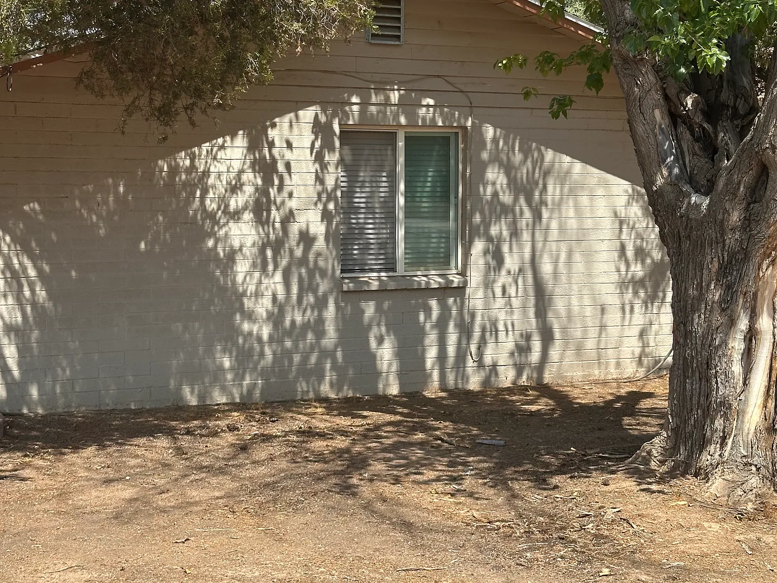 1 bed, $800 — Photo 2
