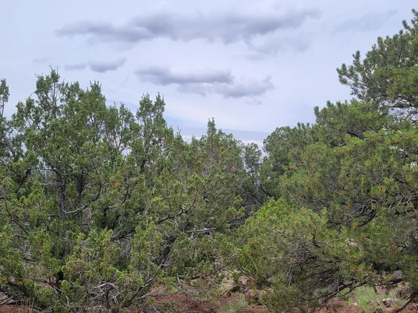 10054 N State Route 64, Williams, AZ 86046