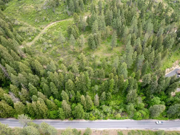 N Schwatchtgen Rd, Chattaroy, WA 99003