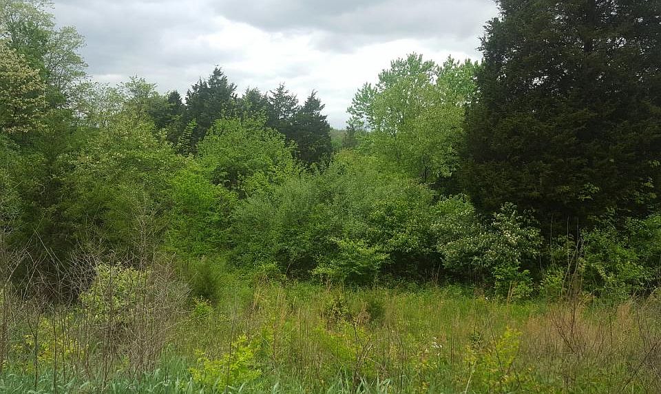 2nd image of Mount Pleasant Rd