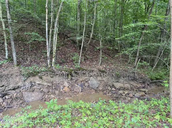 10 Stanley Creek Rd, Oneida, TN 37841