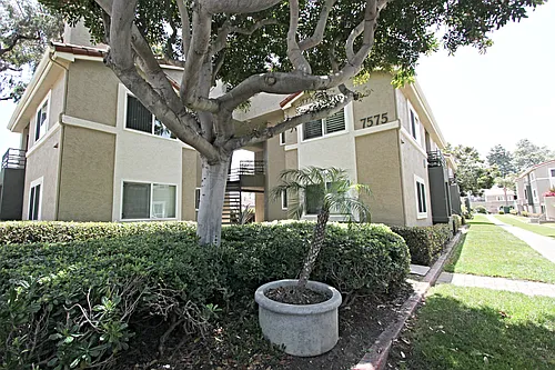 7575 Charmant Dr #1012 Photo 1 7575 Charmant Dr #1012 Photo 1