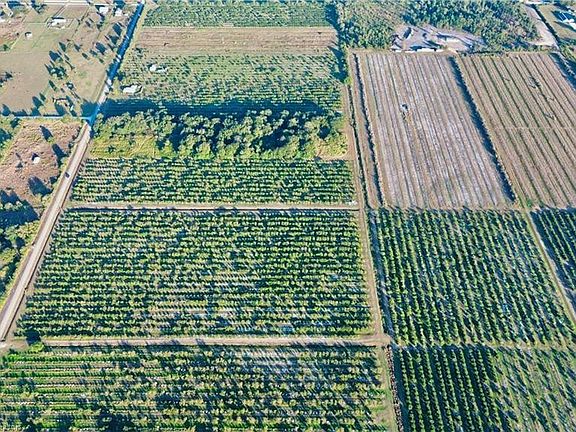 2nd image of 2233 Hicks Road