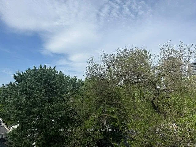 179 Avenue Rd #2 — Photo 14