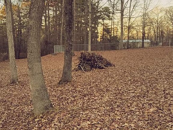 4th image of 3824 Vinson Rd