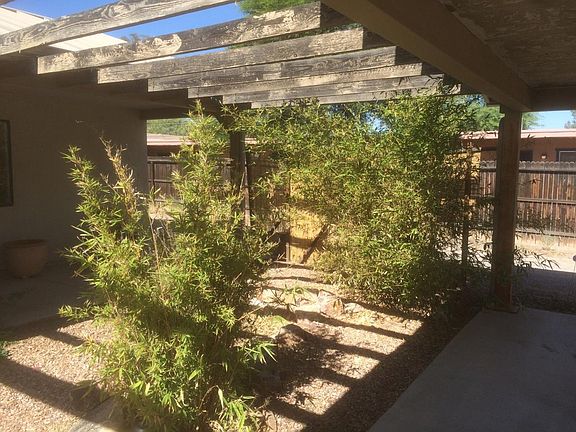 Front porch vegetation.