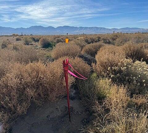 4th image of E Palmdale Boulevard Vic St #155