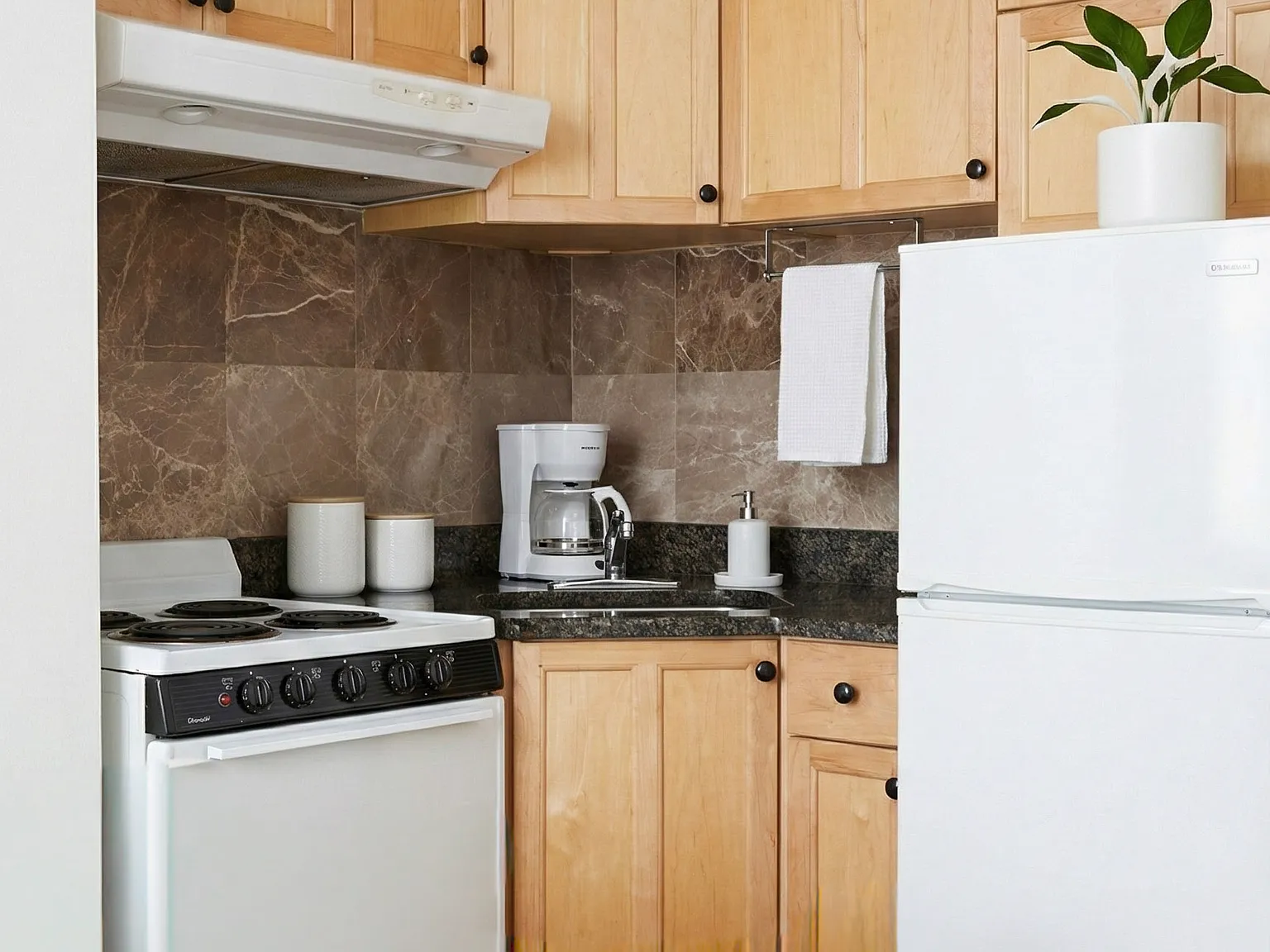 1 bed, 600 sqft, $2,600 — Photo 2
