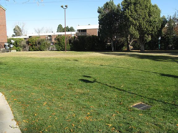 Large grassy area outside 
